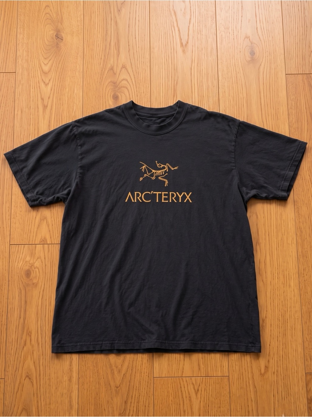 Arc'teryx Classic Archaeopteryx Logo Gold Faded Black Gorpcore T-Shirt